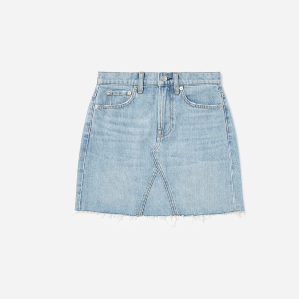 Everlane The Reconstructed Denim Skirt